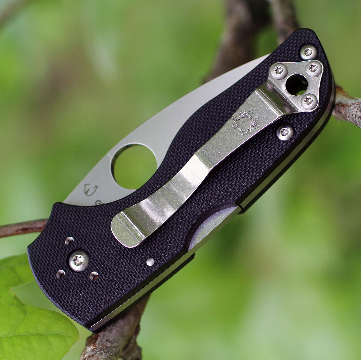 Spyderco Lil' Native - S30V Serrated, Black G-10 C230MBGS | Knifeworks