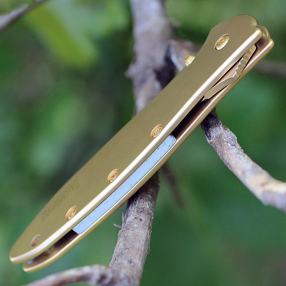 Kershaw Leek Gold 1660G Assisted Opening Knife showing the 24K gold plated handle.