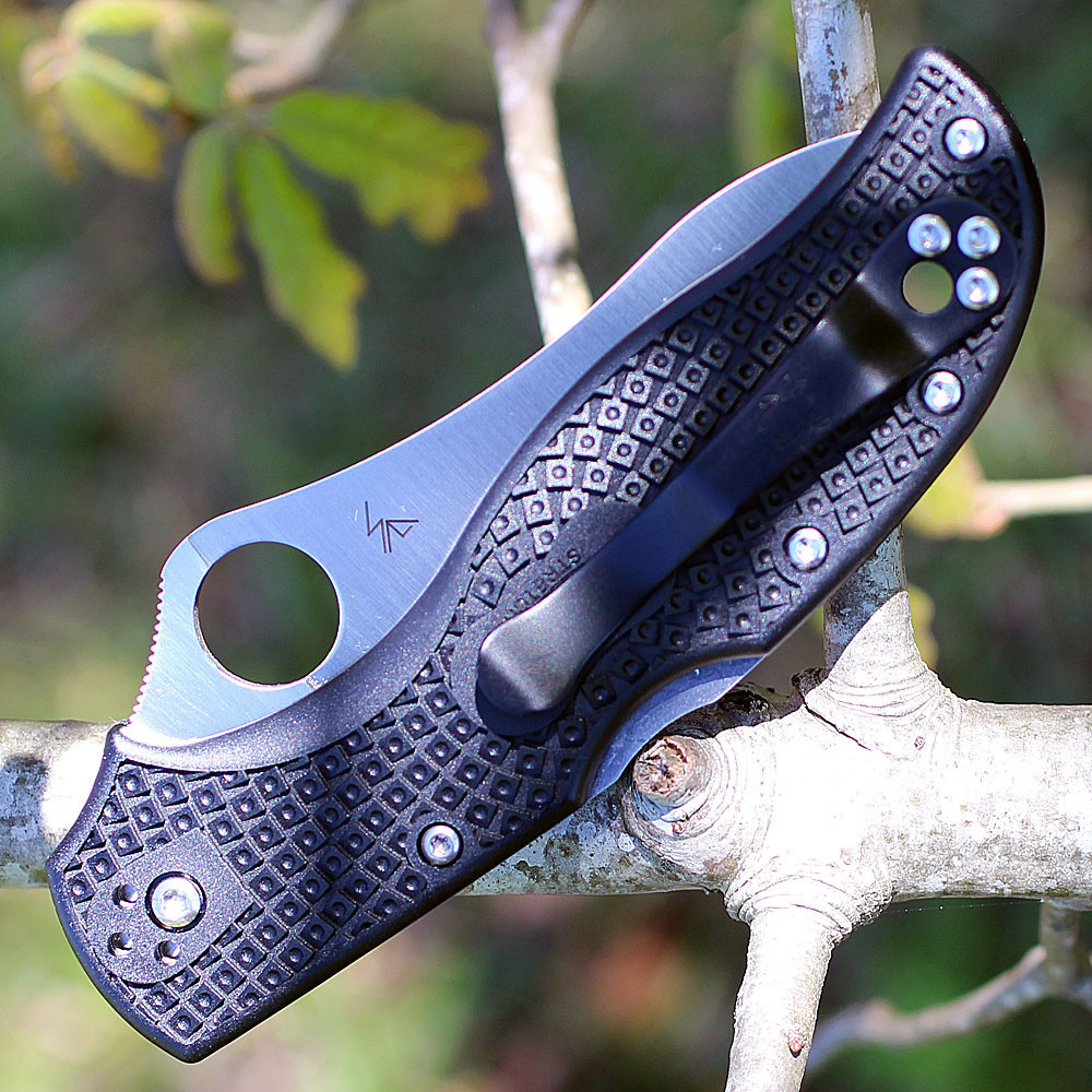 Spyderco Back Lock Folding Hunter