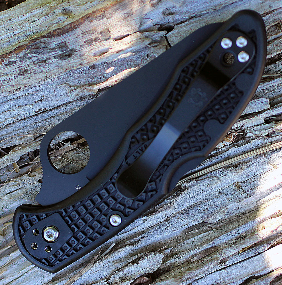 Spyderco Salt 2 | H-1 SpyderEdge Black FRN | C88SBBK2 | Knifeworks