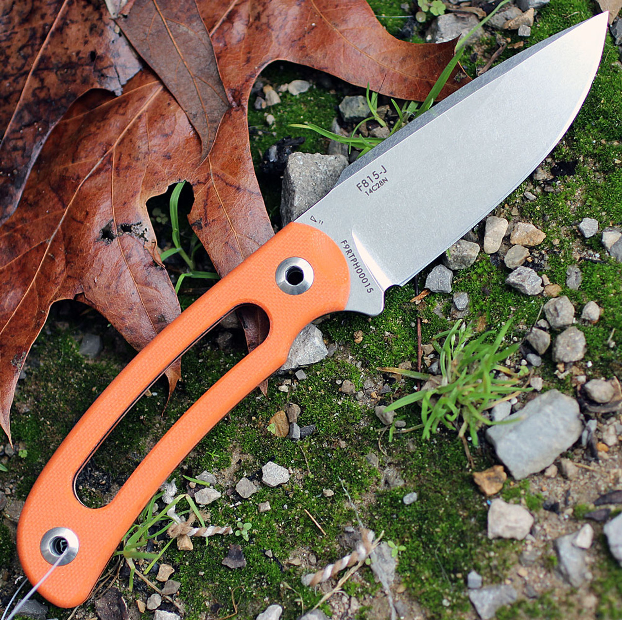 Ruike Hornet F815J, 3.35" 14C28N Plain Blade, Hollowed Orange G-10 Handle