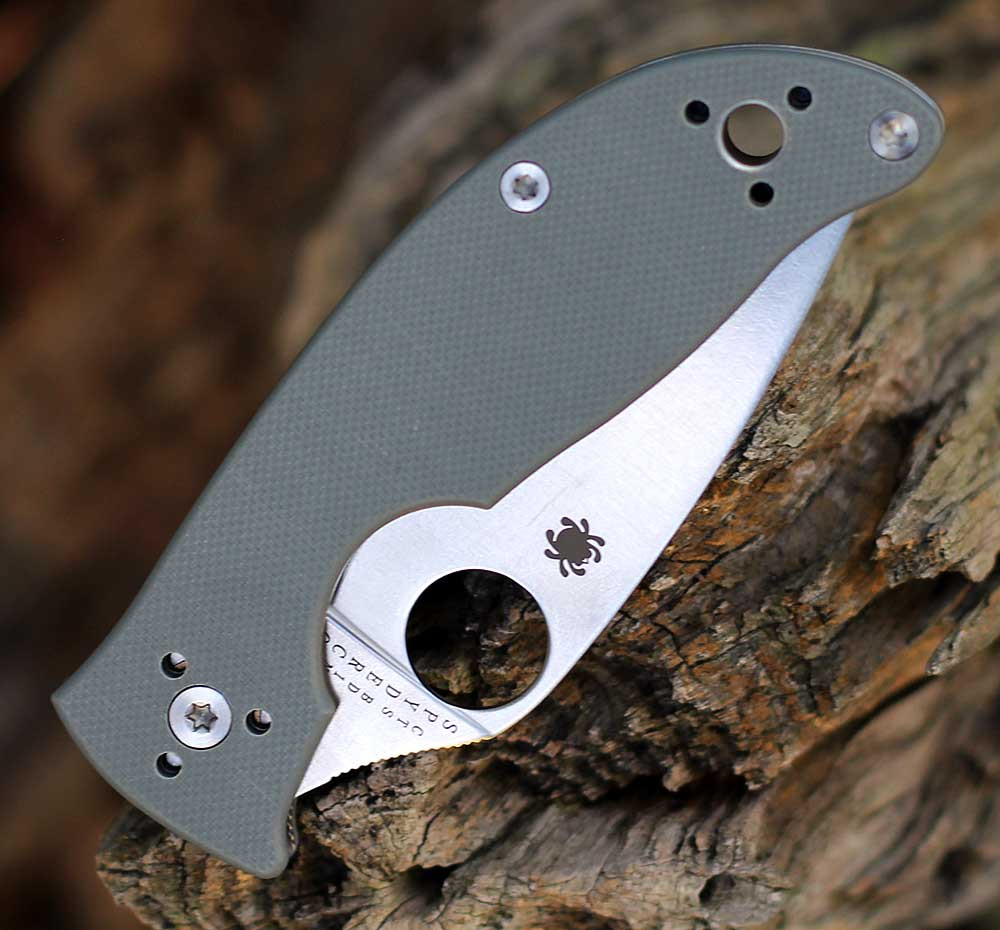 Spyderco Alcyone liner lock folding knife