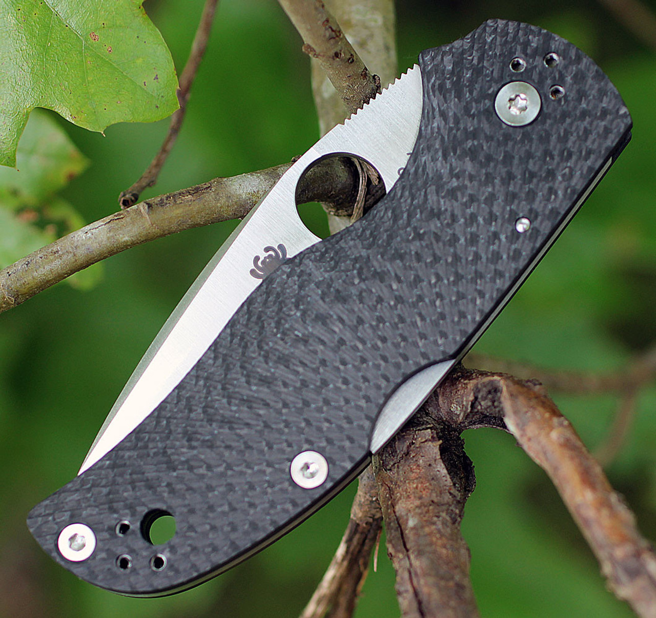 Spyderco Native 5 Fluted Carbon Fiber C41CFFP5, 2.95" CPM S90V Plain Blade