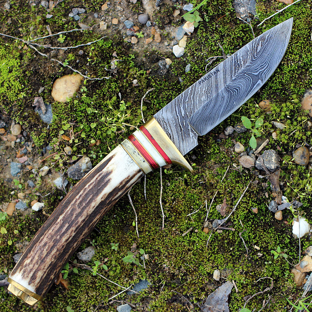 Damascus Plain Blade, Round Stag Handle