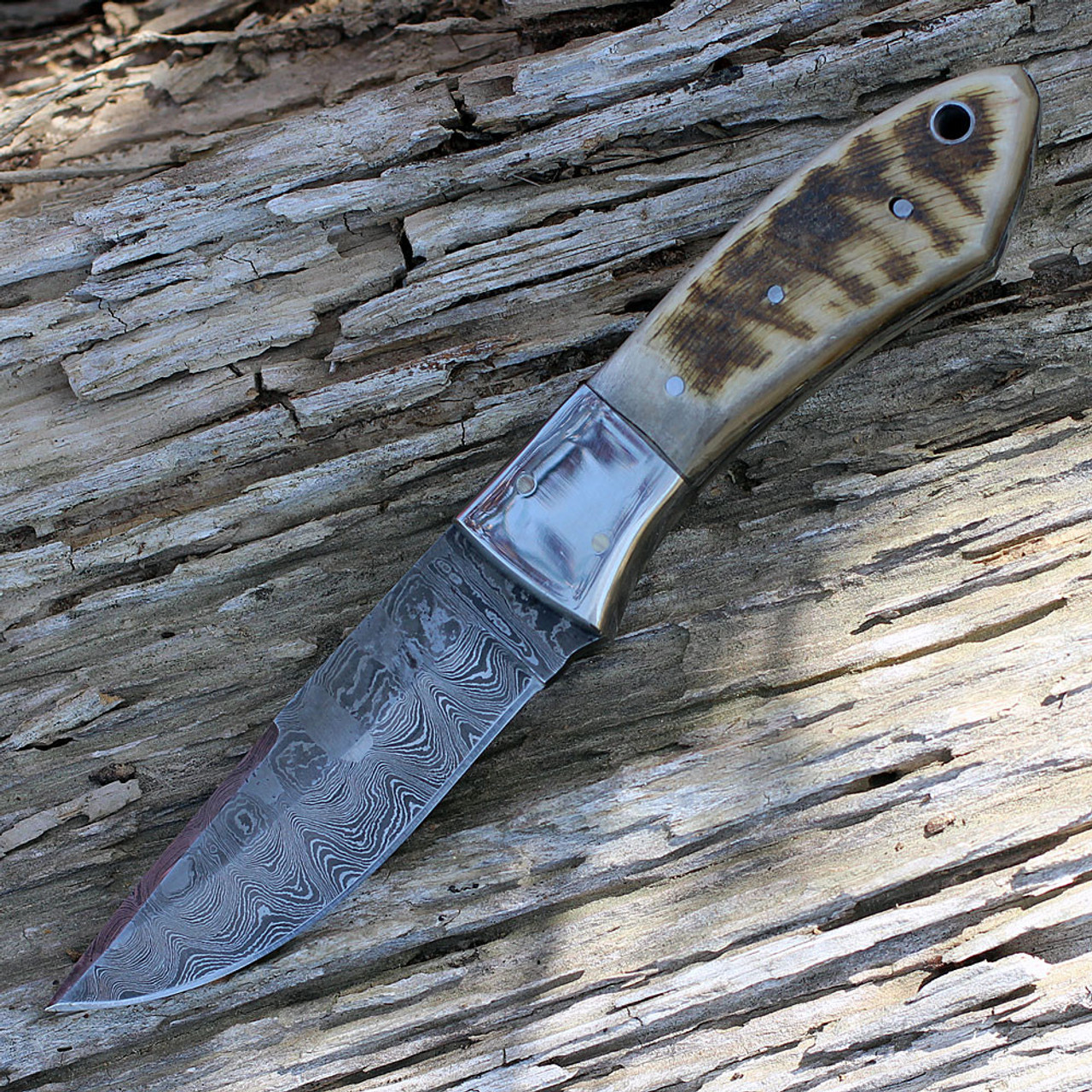 Damascus 1050RM Hunter, 4" Damascus Plain Blade, Ram's Horn Handle
