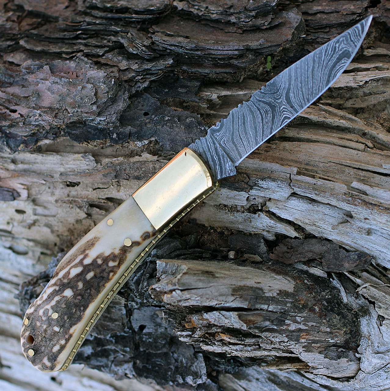Damascus 1168 Lockback, 3.25" Damascus Plain Blade, Stag Bone Handle