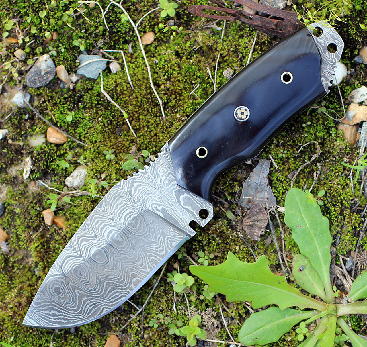 Damascus 1128HN Fixed Blade, 3.5" Damascus Plain Blade, Buffalo Horn Handle