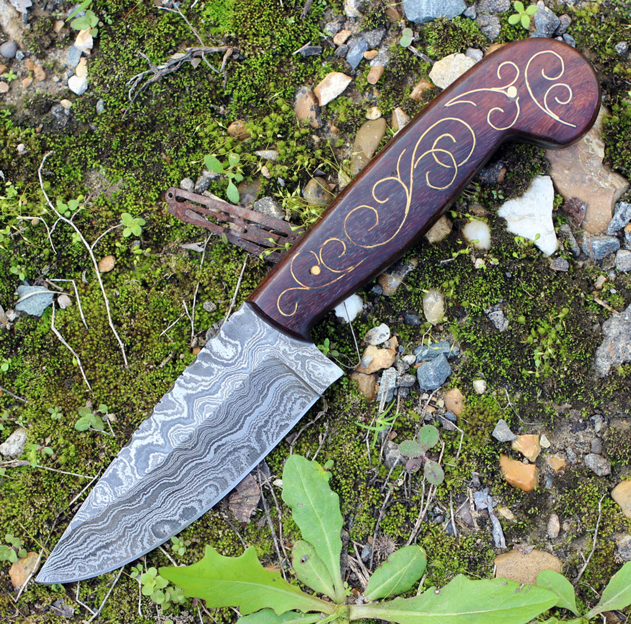 Damascus 1143 Skinner, 4.5" Damascus Plain Blade, Rosewood/Brass Inlay Handle