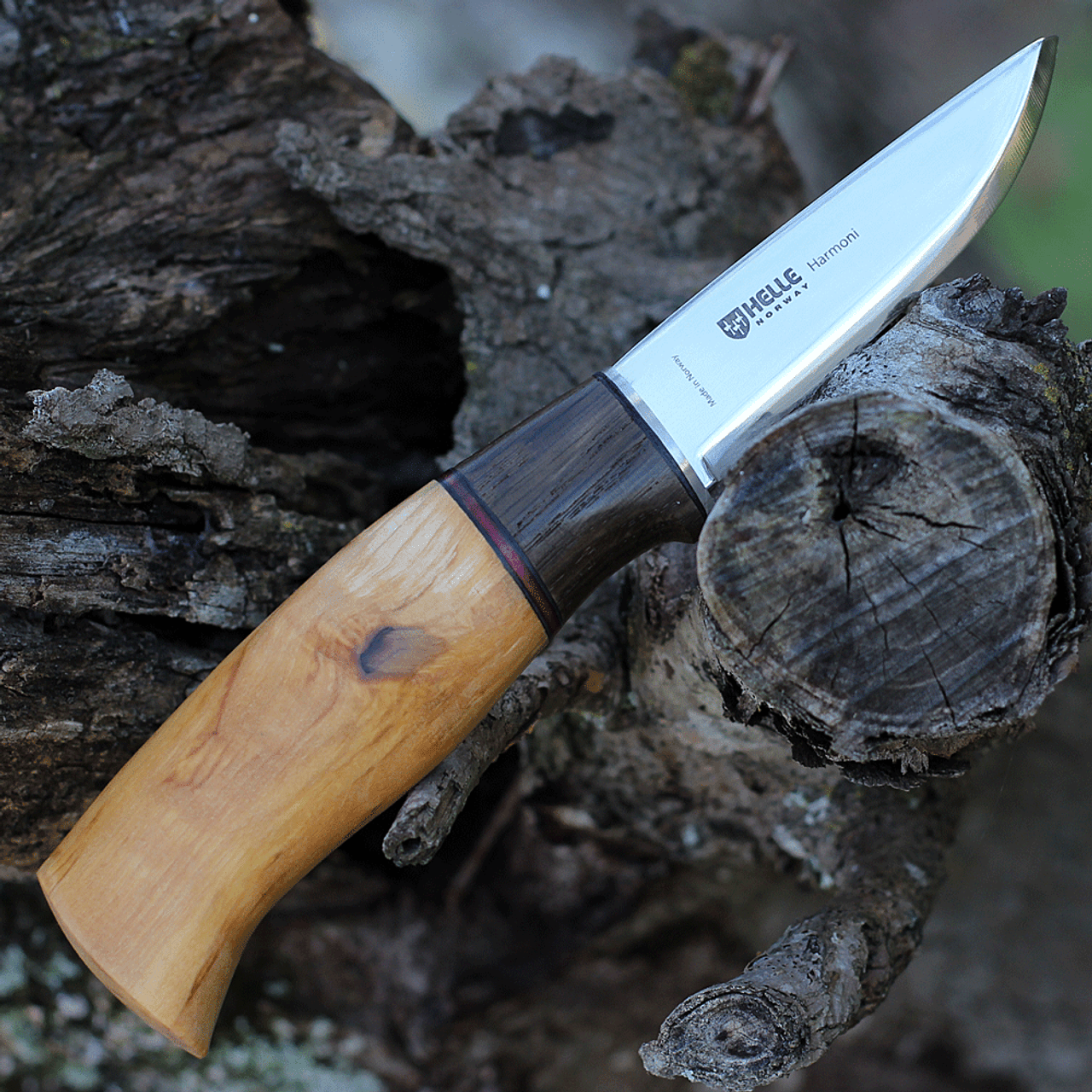 Helle Viking 4.33 in. Triple Laminated Stainless Steel Blade, Curly Birch  Handle