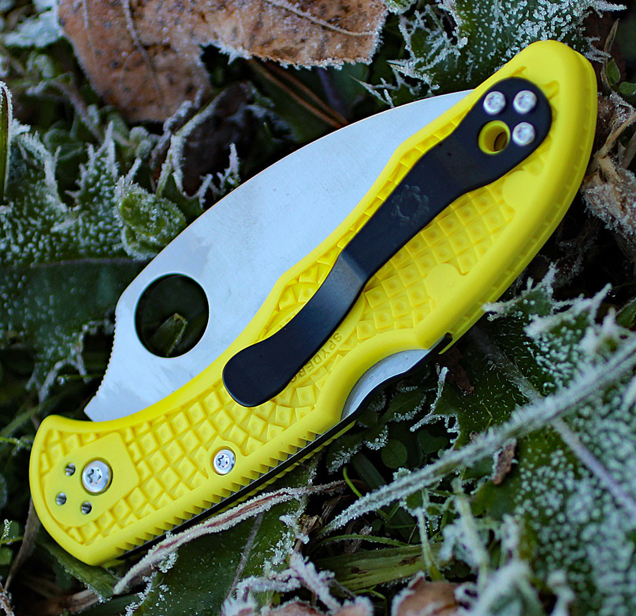 Spyderco Salt 2 - Yellow FRN (2.90" Satin H1) C88PWCYL2