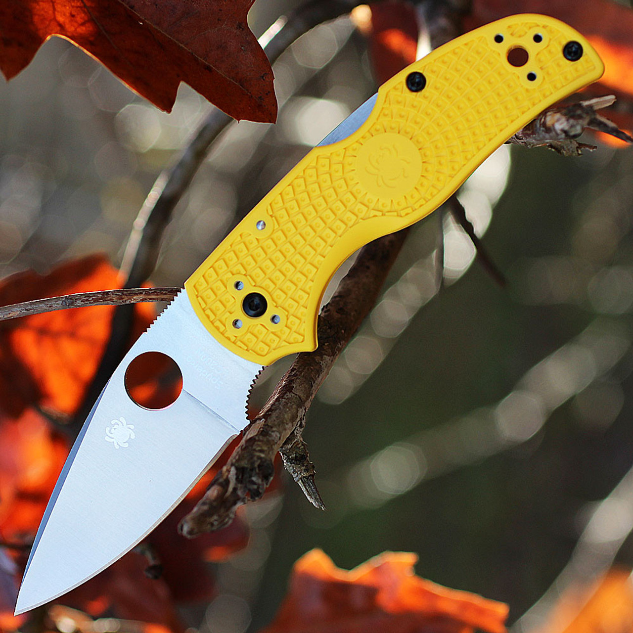 Spyderco C41PYL5 Native 5 Salt, 2.95" LC200N Rustproof Blade, Yellow FRN Handle