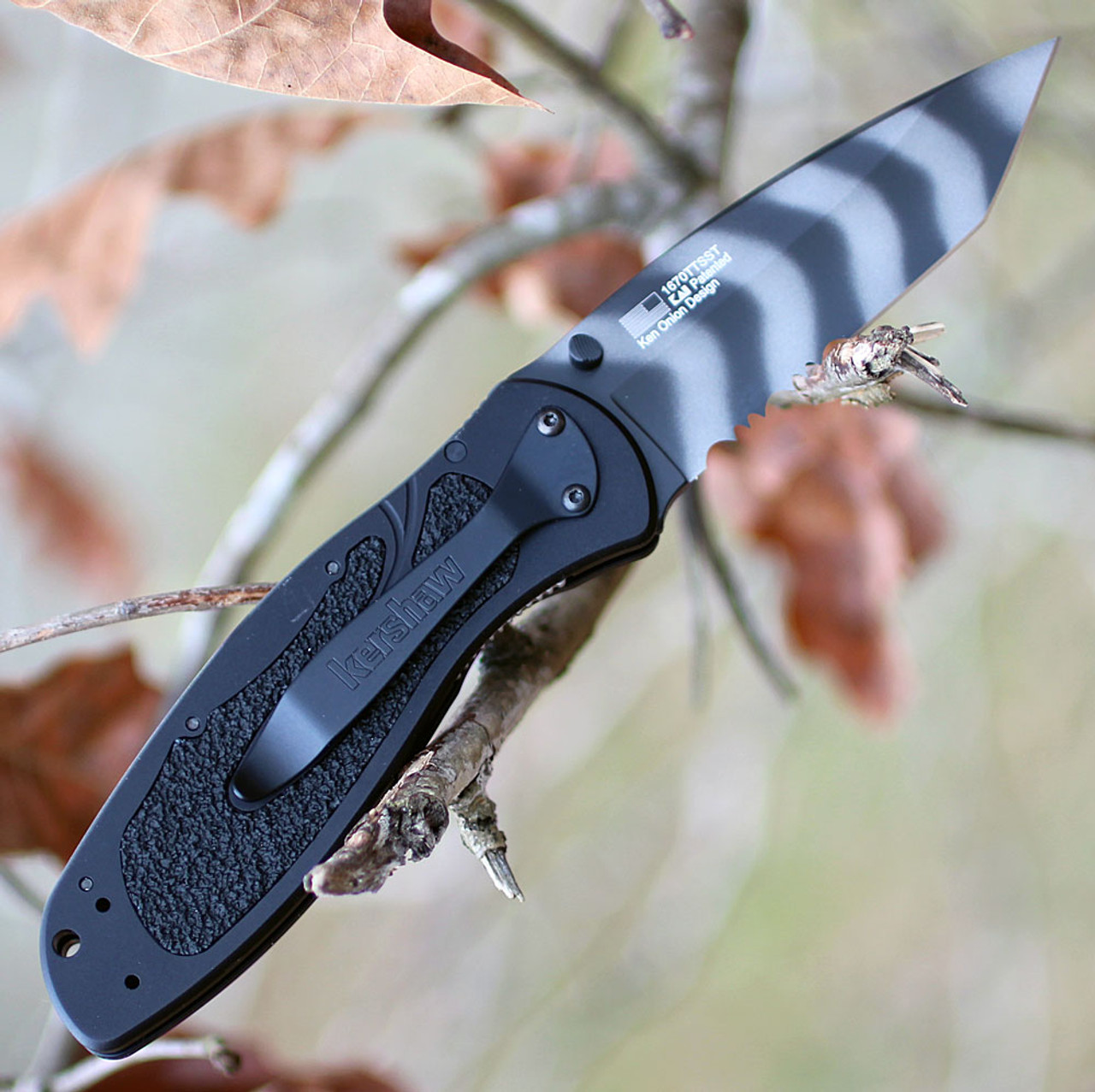 Kershaw Blur | 1670TTSST | Knifeworks