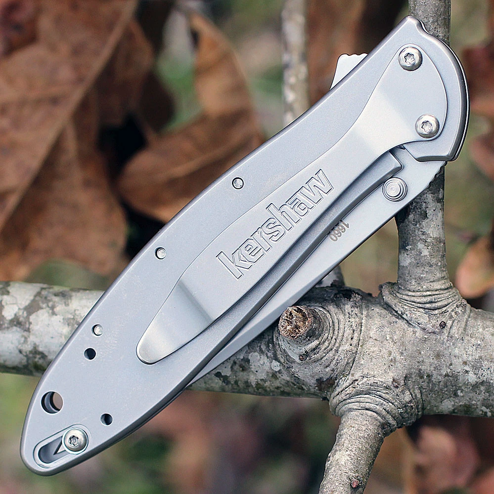 Kershaw Leek 1660 Tip-Up Tip-Down Reversible Pocket Clip Detail View