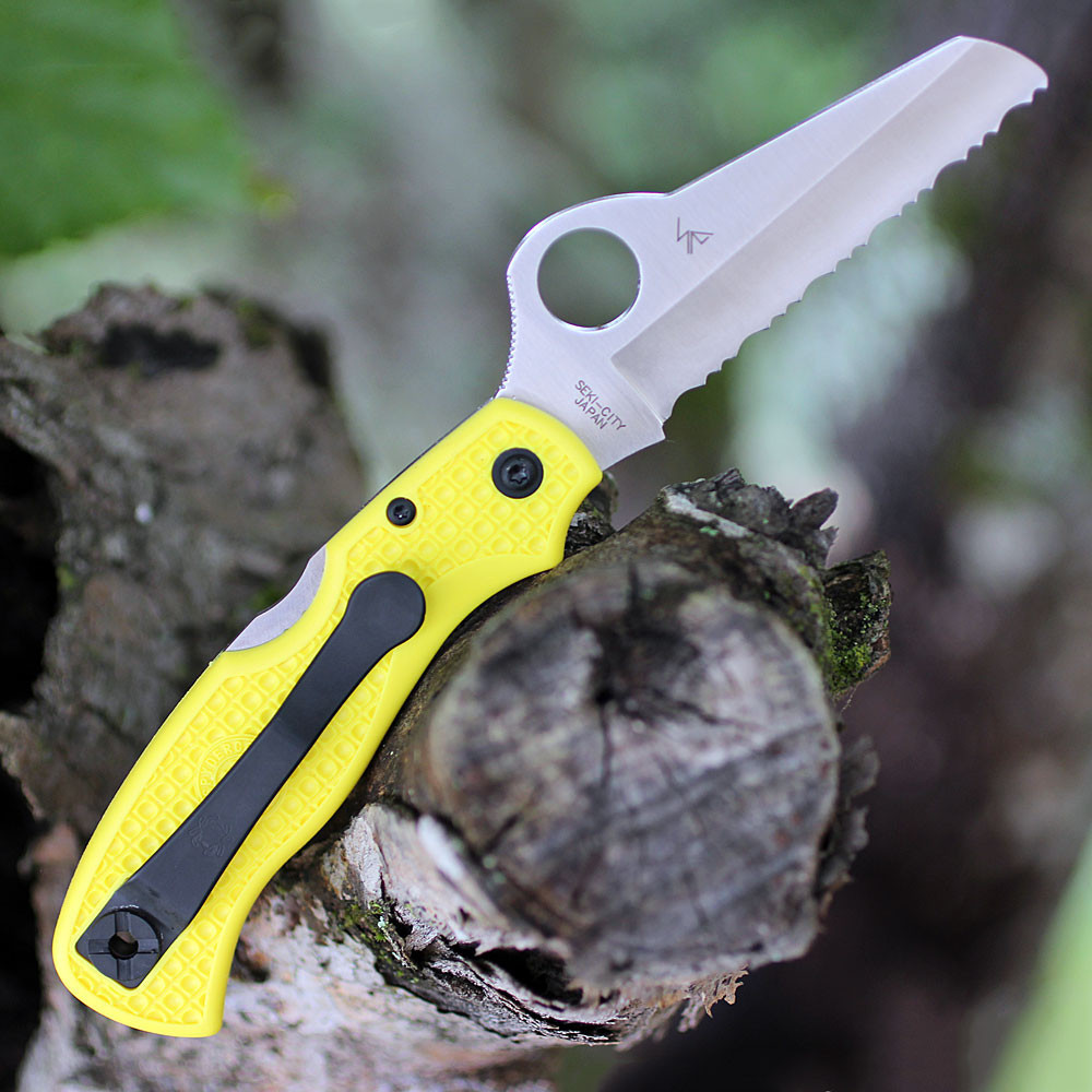 Spyderco C118SYL Salt Clipit | C118SYL | Knifeworks