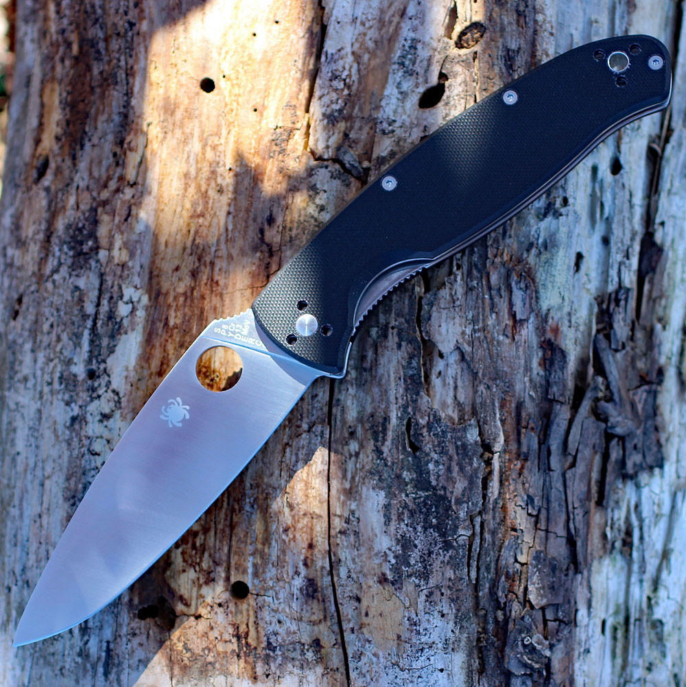 Spyderco Resilience 4.25