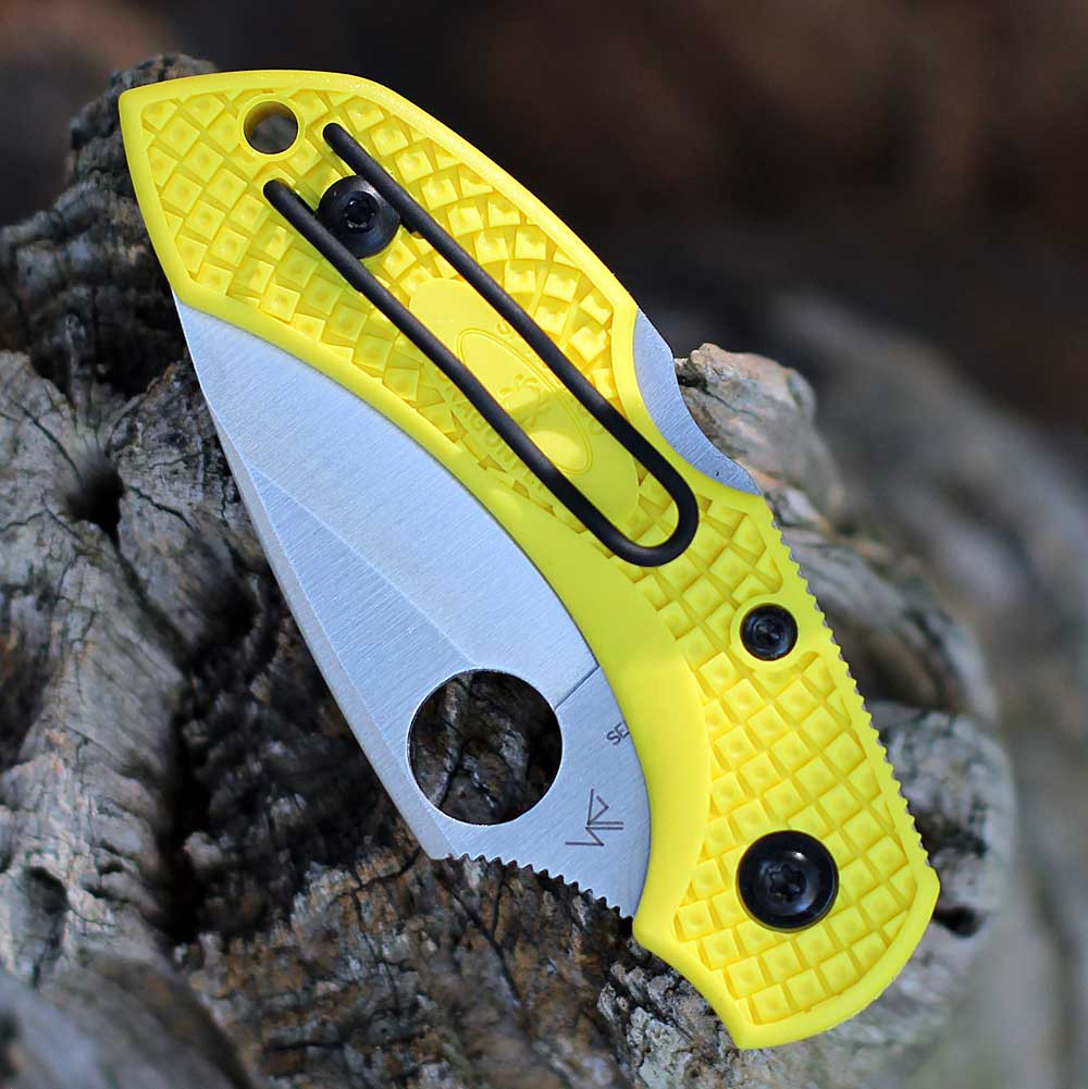 Spyderco Dragonfly 2 Salt showing the deep carry wire clip and back lock.