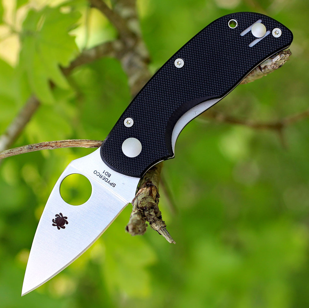 Spyderco Cat Folding Knife 2.44" CTS-BD1N Satin Plain Blade, Black G10 Handles, Liner Lock - C129GP