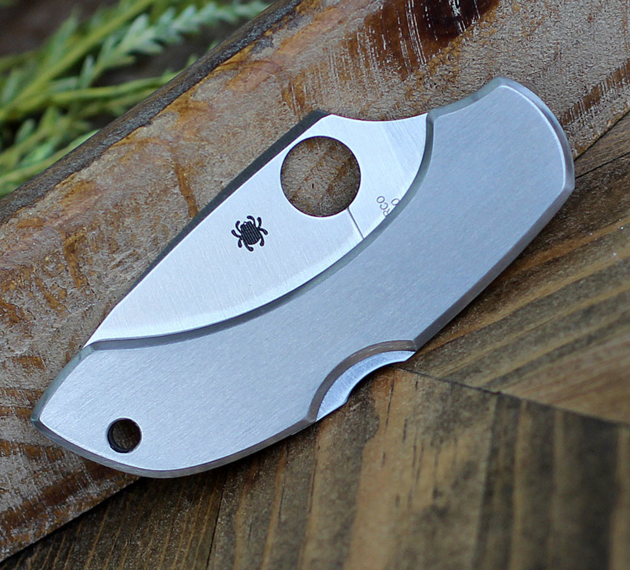 Spyderco C28P Dragonfly, 2.313" VG-10 Plain Blade, Stainless Handle