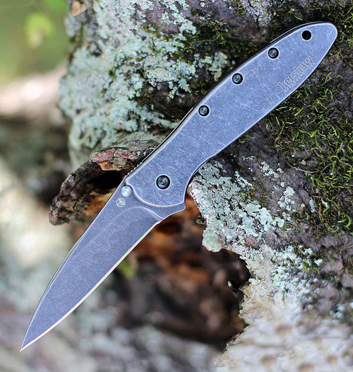 Kershaw Leek 1660CKTST Black Serrated 3
