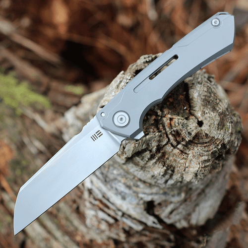 WE Knife Mini Buster  - Gray Ti (3.5" CPM-20CV Bead Blast) 2003A