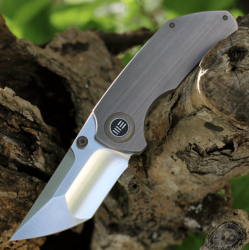 WE Knife Co. Thug 2103A, 2.69" CPM-20CV Satin Compound Tanto Blade, Gray Titanium Handle