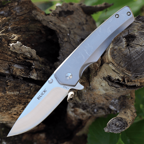 Buck Odessa framelock folding knife