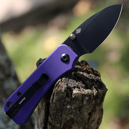 CIVIVI Baby Banter Folding Knife (C19068S-4)- 2.34" Blackwashed Nitro-V Drop Point Blade, Purple G-10 Handles