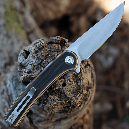 CIVIVI Mini Asticus Folding Knife (C19026B-2)- 3.25" Satin 10Cr15CoMoV Drop Point Blade, Black Hand Rubbed Brass Handle