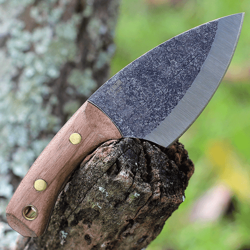 Condor Pangui - Walnut Wood (3.27" 1095) CTK802-3.26HC