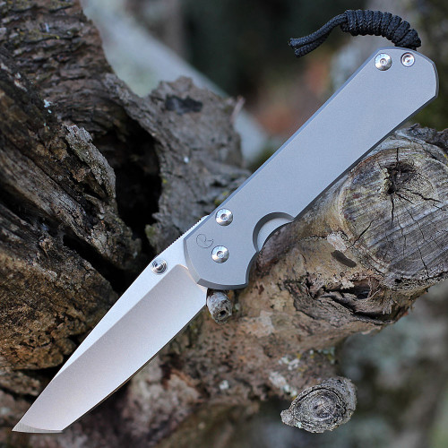 Chris Reeve Large Sebenza 31 L31-1687 glass blasted Titanium handle