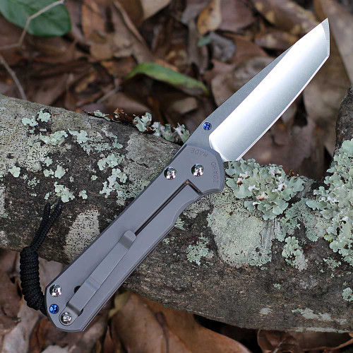 Chris Reeve Sebenza 31 Large Tanto L31-1687 showing glass-blasted titanium handle finish and offset clip.