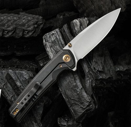 WE Knife Subjugator - Black SW Ti (3.5" CPM 20CV Satin) WE21014C-2