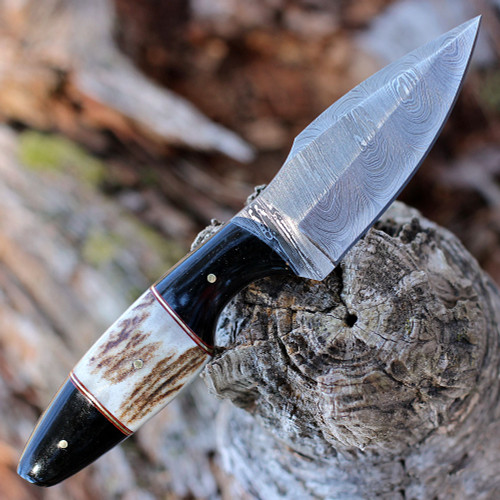 Damascus Hunter - Stag/Buffalo (3.75"Damascus) DM-1294SG