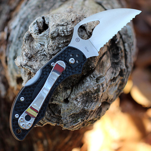 Byrd Robin 2 (BY10SBKWC2) 2.35" 8Cr13MoV Satin SpyderEdge Wharncliffe Serrated Blade, Black FRN Handle