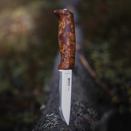 Helle Gaupe Fixed Blade - Curly Birch Wood (4.3" 12C27 Polished) Blk Leather Sheath