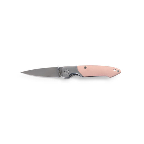 Brighten Blades Pink Floyd Folding Knife (BB127) 2.50 in Satin 8Cr13MoV Spear Point Blade, Rose Gold Handle