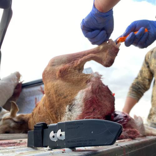 Cold Steel Click N Cut Hunting Kit (Interchangeable Blades) CS-CC-FLDKIT