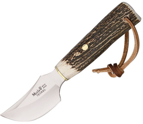 Muela Teckel (MUE90852) 3" Stainless Steel Satin Trailing Point Plain Blade, Stag Handle