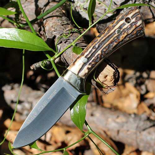 Muela Colibri Stag 02MU018 full-tang fixed blade hunting knife 2.83 inch 4116 stainless satin drop point blade with brass bolsters and leather sheath