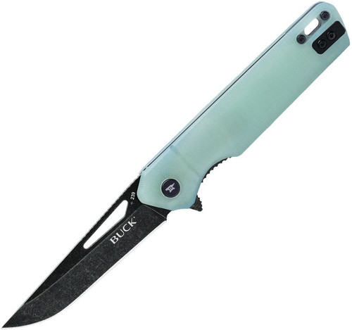 Buck 239 Infusion jade G10 assisted folding knife