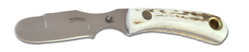 Knives of Alaska Muskrat (KOA00091FG) 2.25" D2 Bead Blasted Blunt Tip Plain Blade, Stag Bone Handle, Brown Leather Sheath