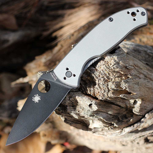 Spyderco Tenacious R.I.L. C122TIBKP bead blasted titanium handle open view showing black 8Cr13MoV leaf-shape plain blade
