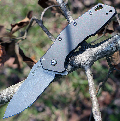 Kershaw Eris Assisted Opening Knife (1881)- 3.00" Stonewashed 8Cr13MoV Drop Point Blade, Titanium Carbo-Nitride Coated Stainless Steel Handle