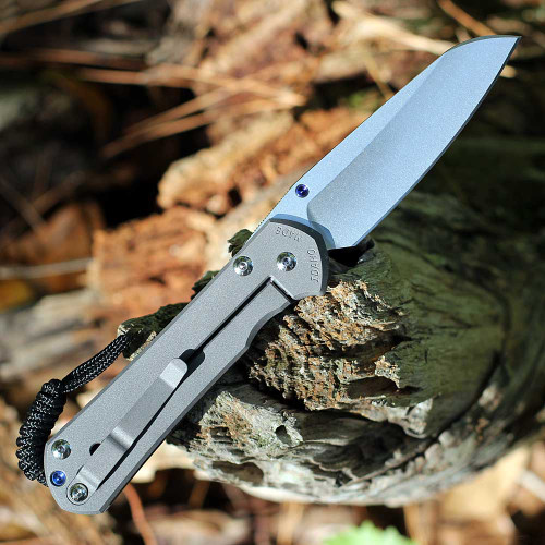 Close-up Reeve Integral Lock with Ceramic Ball Interface on Sebenza 31