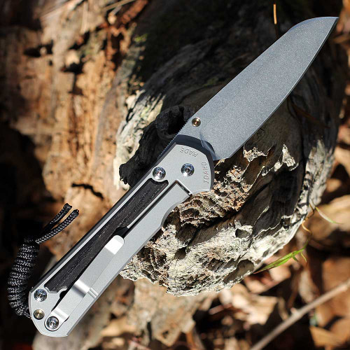 Close-up Reeve Integral Lock with Ceramic Ball Interface on Sebenza 31