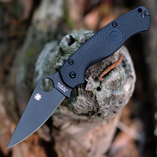 Spyderco Para Military 2 Lightweight C81PBBK2 profile view showing black DLC blade and FRN handle.
