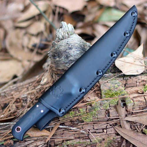 Spyderco Shelter Cove FB52GP Filet Knife