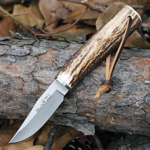Muela BW-6A 02MU221 2.36 inch X50CrMoV15 Satin Clip Point Full Tang Genuine Staghorn Handle Leather Sheath Spain