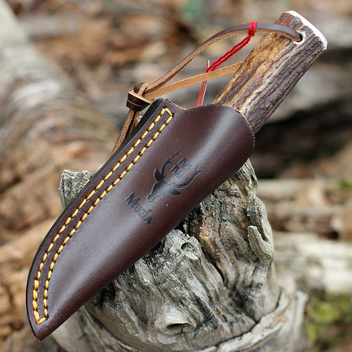 Muela BW-6A 02MU221 micro fixed blade knife stag handle 2.4 inch X50CrMoV15 stainless satin clip point blade with brass guard and leather sheath