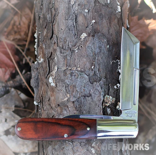 The Bear & Son BC2280R Barlow is shown with its satin sheepfoot and pen blades open, set in a rosewood handle with a long nickel silver bolster.